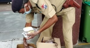 लॉकडाउन ने बदल दी आरपीएफ की ड्यूटी, 152 अधिकारी और सिपाही रात-दिन दे रहे हैं स्टेशन आने-जाने वालों को अपनेपन का अहसास